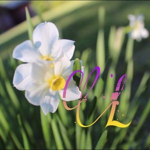 Meet your Posher, Talmadge